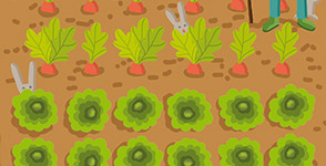 Savez-vous planter les choux ?